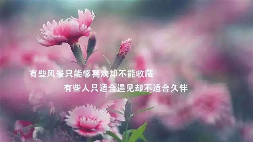 感情哲理句子文案精辟短语