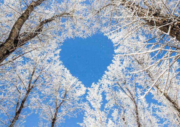 关于床上的经典语句文案