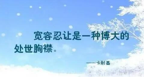 关于宽容的好段摘抄