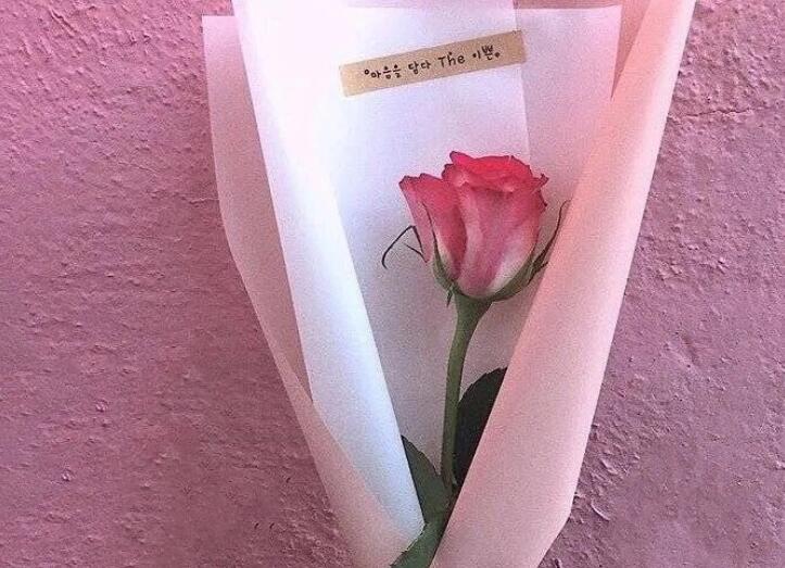 关于思念的小清新句子文案