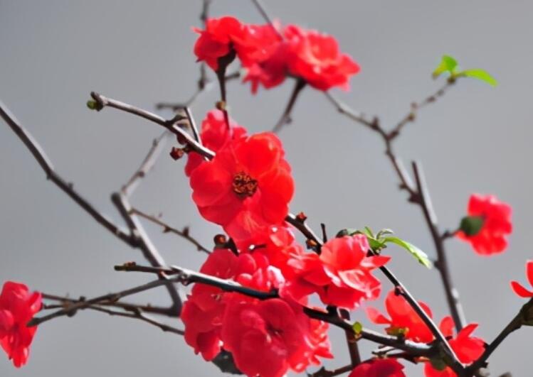 人生抉择的名人名言