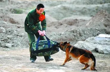 退伍离别句子文案