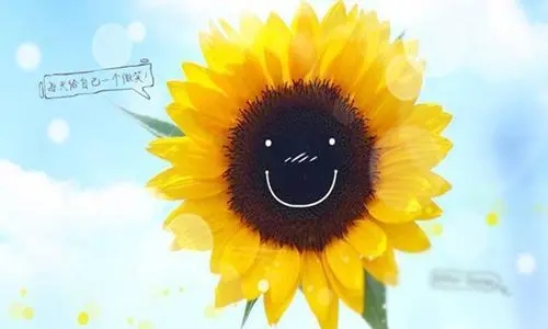 描述笑容灿烂的句子文案