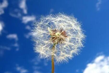 阳光清新的句子文案简短