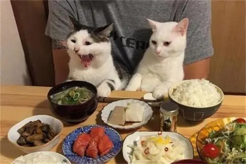 和朋友一起吃饭的说说文案发朋友圈