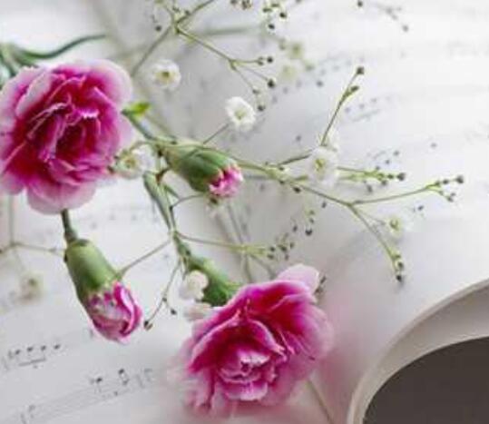 写给妈妈的一封信感恩