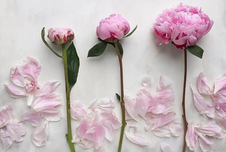 有关儿童节的句子文案