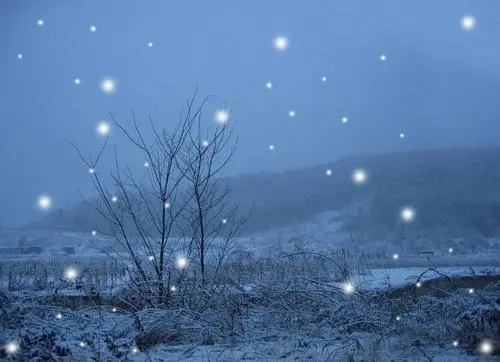 春天下雪的心情说说文案