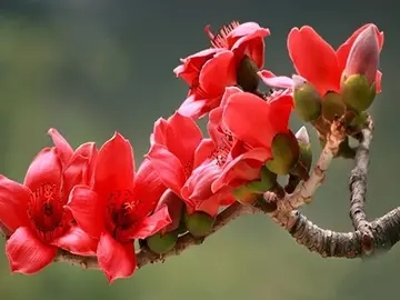 赞美英雄的句子文案经典语录