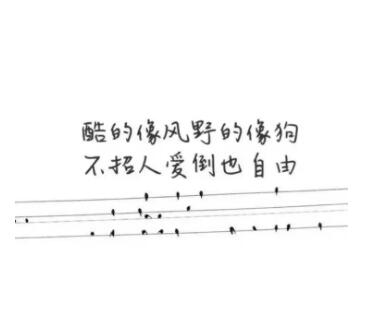 帅气又有霸气的句子文案