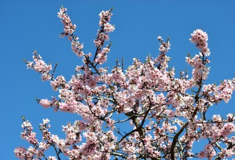 早上好的句子文案短语幽默