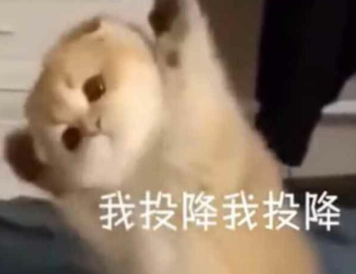 描述自己像要饭的句子文案