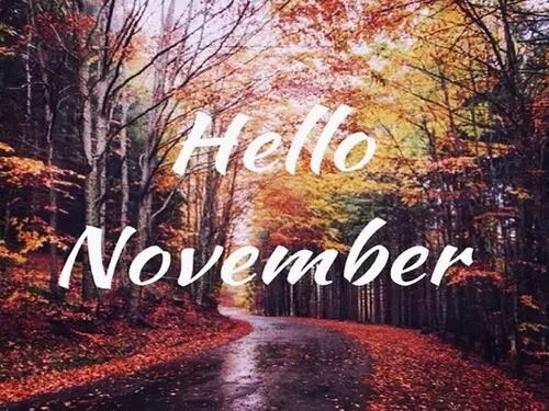 十一月你好的唯美句子文案