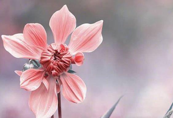 2021越努力越幸运句子文案