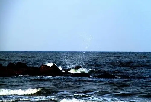 喜欢大海的句子文案心情短语