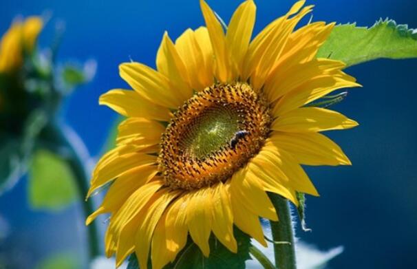 珍惜爱你的人的句子文案