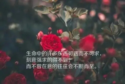 高情商的说说文案怎么发朋友圈