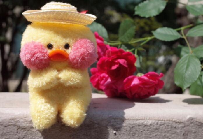 朋友圈文字短句可爱