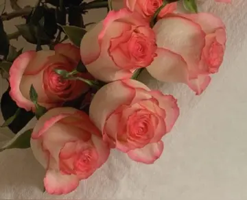 祝福妈妈的短语