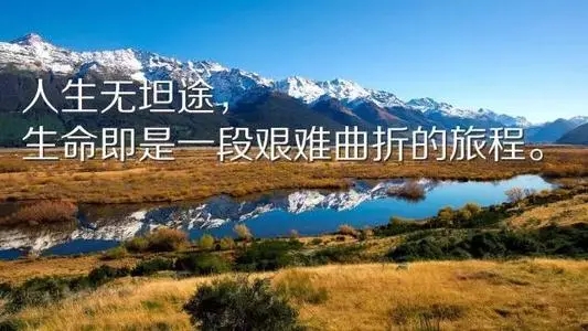 每日鼓励语句文案