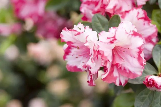 励志话语正能量小句子文案