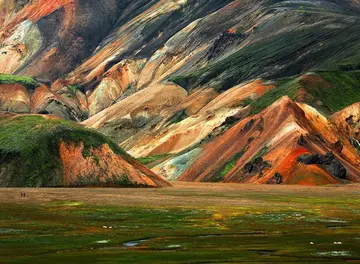 写两句迷人的话