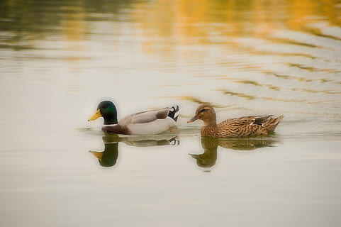 女生最委婉的分手的话