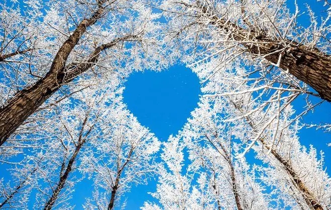 感情好词好句文案好段摘抄大全