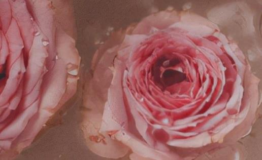 生活很累的说说文案