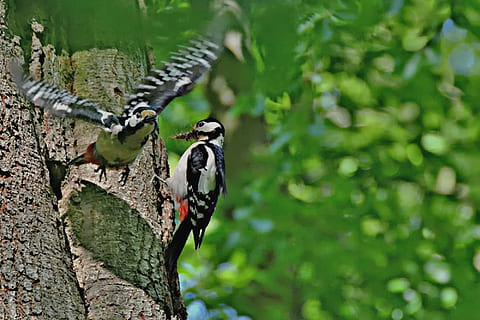 抒情句子文案摘抄加赏析