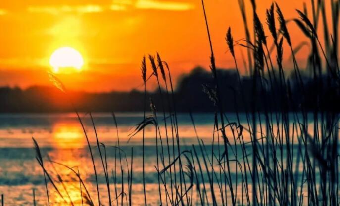 写生活美好的诗句文案