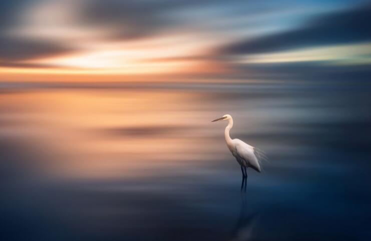 知足常乐的经典说说文案