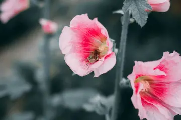 晴天和雨天的美景句子文案