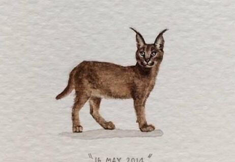 生活感悟经典句子文案微信短句