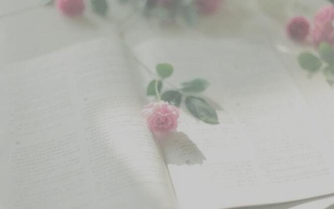 个性脱俗的长句子文案