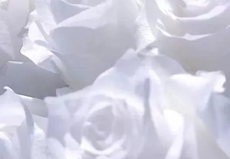 别人让你滚的伤感说说文案