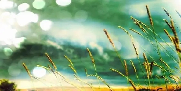 社会深度好句文案