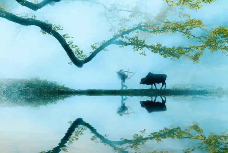 清明表达思念的诗句文案