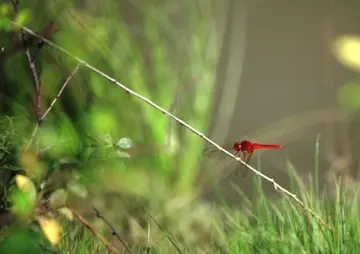 周末早上祝福语