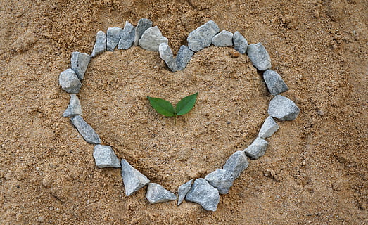 带有感情的诗句文案