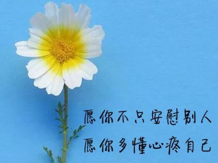 感慨人生不易短句