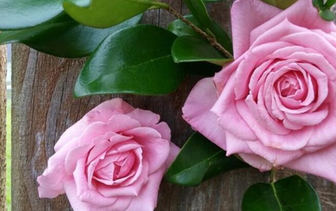 最牛B的正能量短句