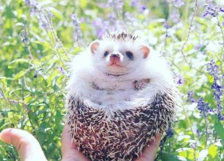 2024年励志早安说说文案