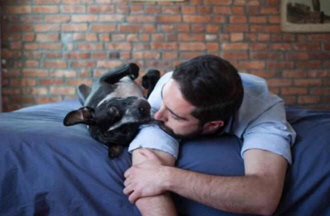 狗和人区别的经典说说文案