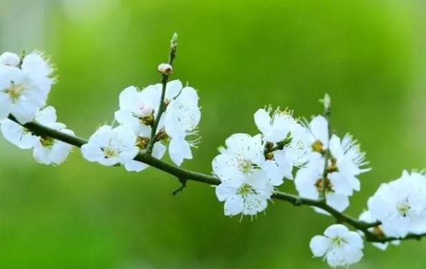 描写四季的优美句子文案