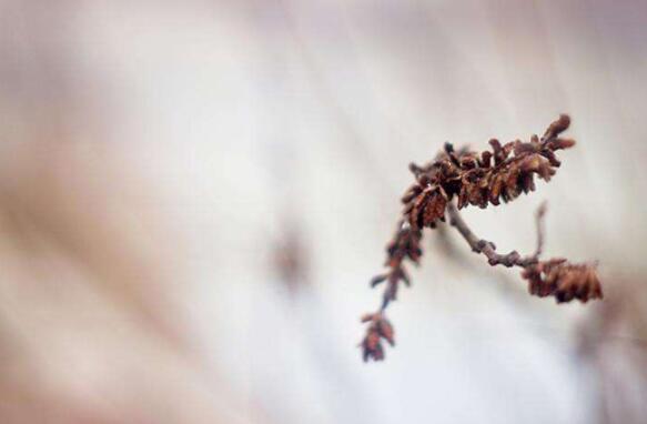 异地恋分手说的话