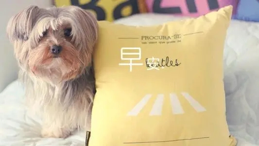 新的一天适合发朋友圈的句子文案