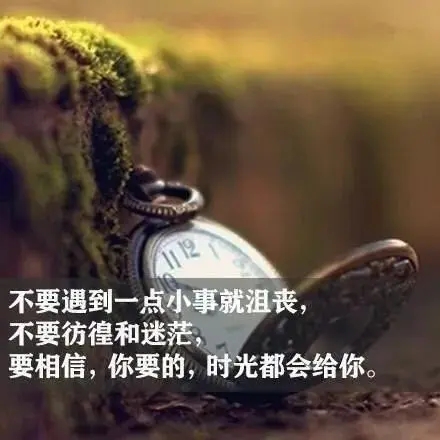 收获的正能量的句子文案