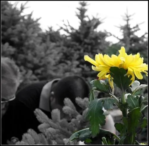 纪念奶奶逝去一周年的句子文案