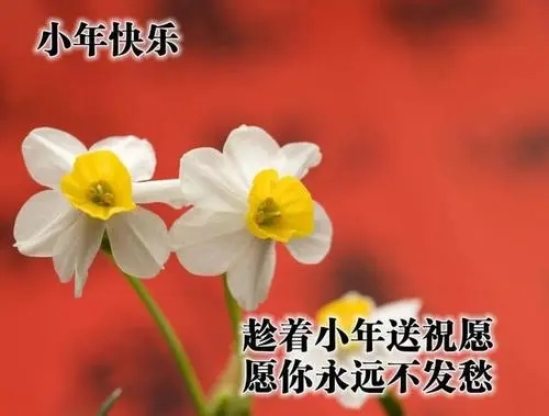 小年问候祝福语